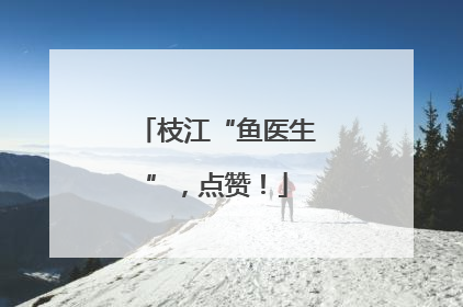 枝江“鱼医生”，点赞！