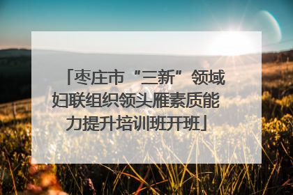 枣庄市“三新”领域妇联组织领头雁素质能力提升培训班开班