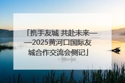 携手友城 共赴未来——2025黄河口国际友城合作交流会侧记