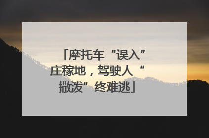 摩托车“误入”庄稼地，驾驶人“撒泼”终难逃