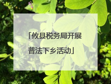 攸县税务局开展普法下乡活动