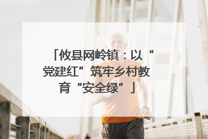 攸县网岭镇：以“党建红”筑牢乡村教育“安全绿”