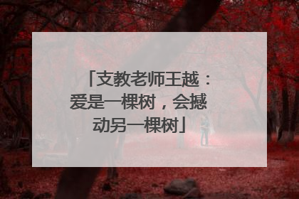 支教老师王越：爱是一棵树，会撼动另一棵树