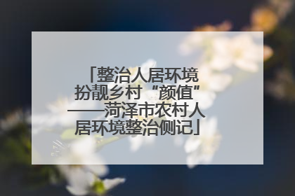 整治人居环境 扮靓乡村“颜值”——菏泽市农村人居环境整治侧记