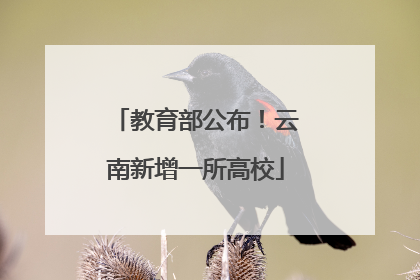 教育部公布！云南新增一所高校