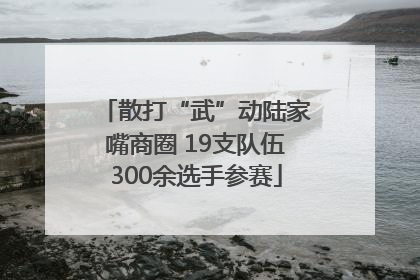散打“武”动陆家嘴商圈 19支队伍300余选手参赛