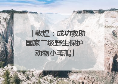 敦煌：成功救助国家二级野生保护动物小苇鳽