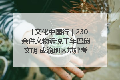 文化中国行｜230余件文物诉说千年巴蜀文明 成渝地区基建考古成果展开展