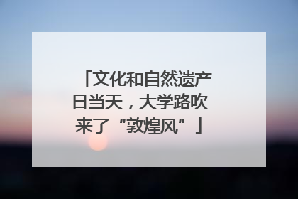 文化和自然遗产日当天，大学路吹来了“敦煌风”