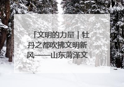 文明的力量｜牡丹之都吹拂文明新风——山东菏泽文明创建一线见闻