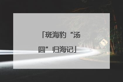 斑海豹“汤圆”归海记