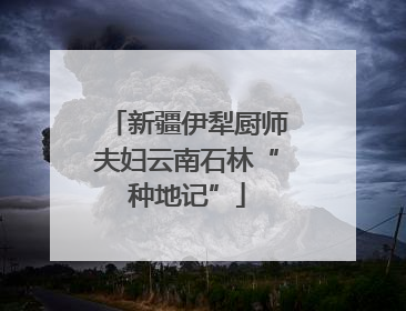 新疆伊犁厨师夫妇云南石林“种地记”