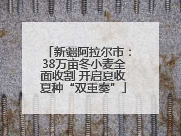 新疆阿拉尔市：38万亩冬小麦全面收割 开启夏收夏种“双重奏”