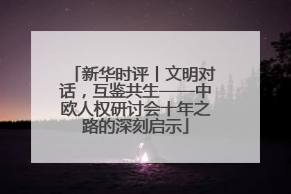 新华时评丨文明对话，互鉴共生——中欧人权研讨会十年之路的深刻启示