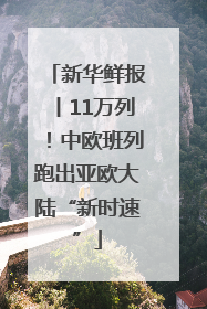 新华鲜报丨11万列！中欧班列跑出亚欧大陆“新时速”