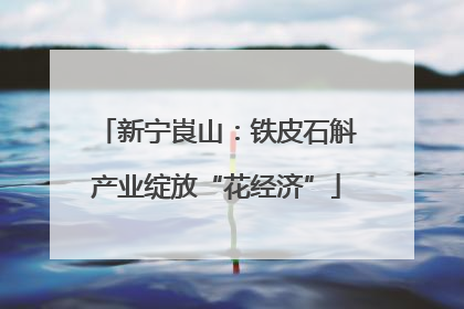 新宁崀山：铁皮石斛产业绽放“花经济”