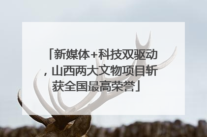 新媒体+科技双驱动，山西两大文物项目斩获全国最高荣誉