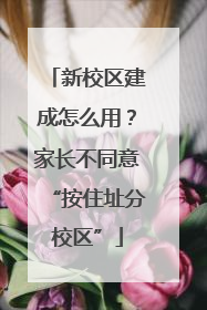 新校区建成怎么用？家长不同意“按住址分校区”