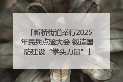 新桥街道举行2025年民兵点验大会 锻造国防建设“拳头力量”