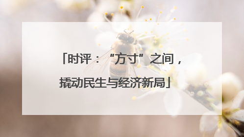 时评：“方寸”之间，撬动民生与经济新局