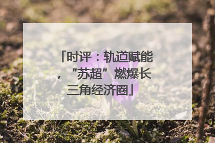 时评：轨道赋能，“苏超”燃爆长三角经济圈