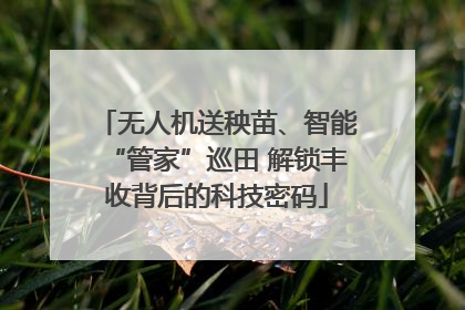 无人机送秧苗、智能“管家”巡田 解锁丰收背后的科技密码
