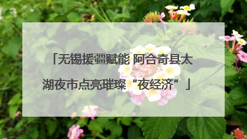 无锡援疆赋能 阿合奇县太湖夜市点亮璀璨“夜经济”
