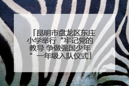 昆明市盘龙区东庄小学举行“牢记党的教导 争做强国少年”一年级入队仪式