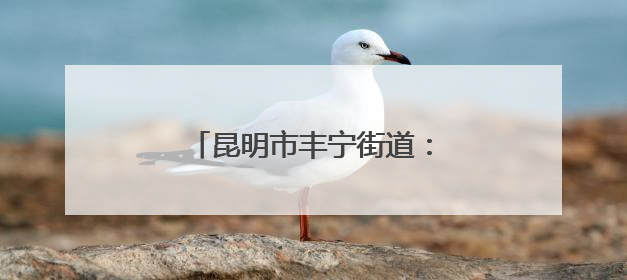 昆明市丰宁街道：退役军人“志愿服务+”助力社区治理
