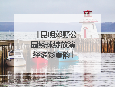 昆明郊野公园绣球绽放演绎多彩夏韵