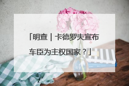明查｜卡德罗夫宣布车臣为主权国家？