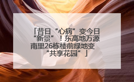 昔日“心病”变今日“新景”！东高地万源南里26栋楼前绿地变“共享花园”