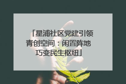 星浦社区党建引领青创空间：闲置阵地巧变民生枢纽