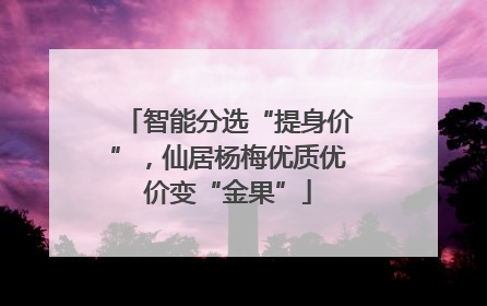 智能分选“提身价”，仙居杨梅优质优价变“金果”