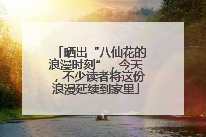 晒出“八仙花的浪漫时刻”，今天，不少读者将这份浪漫延续到家里