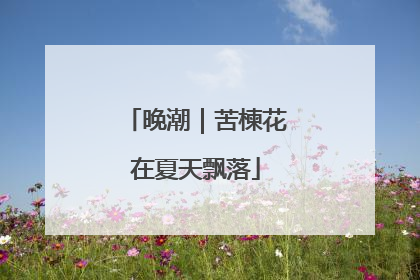 晚潮｜苦楝花在夏天飘落