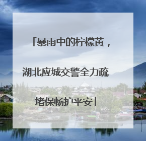 暴雨中的柠檬黄，湖北应城交警全力疏堵保畅护平安