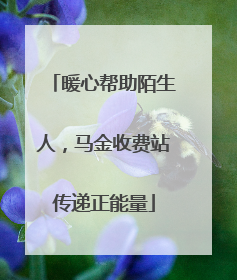 暖心帮助陌生人，马金收费站传递正能量