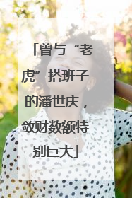 曾与“老虎”搭班子的潘世庆，敛财数额特别巨大