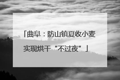 曲阜：防山镇夏收小麦实现烘干“不过夜”