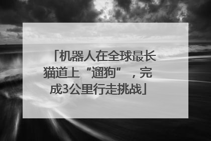 机器人在全球最长猫道上“遛狗”，完成3公里行走挑战