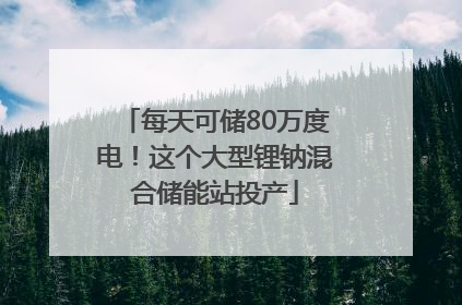 每天可储80万度电！这个大型锂钠混合储能站投产