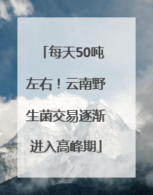 每天50吨左右！云南野生菌交易逐渐进入高峰期