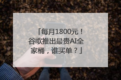 每月1800元！谷歌推出最贵AI全家桶，谁买单？