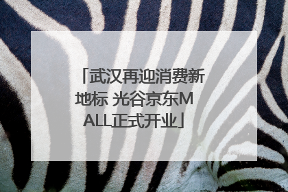 武汉再迎消费新地标 光谷京东MALL正式开业