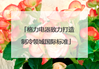 格力电器致力打造制冷领域国际标准