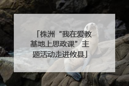 株洲“我在爱教基地上思政课”主题活动走进攸县