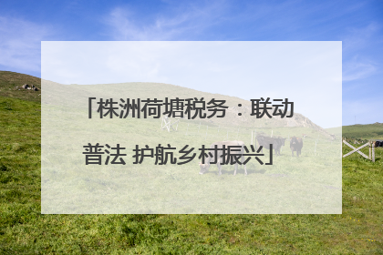 株洲荷塘税务：联动普法 护航乡村振兴