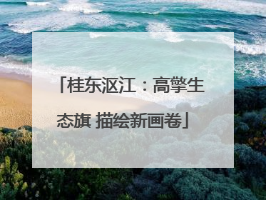 桂东沤江：高擎生态旗 描绘新画卷