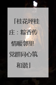 桂花坪桂庄：粽香传情暖邻里 党群同心筑和谐